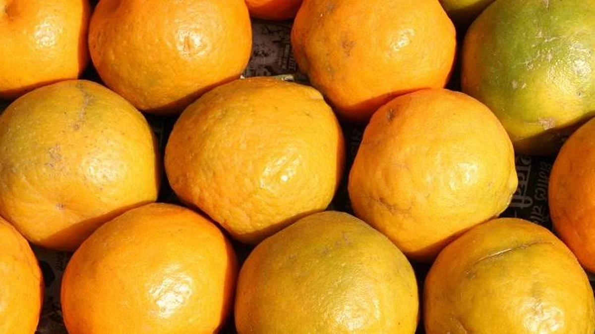 Orange Growers