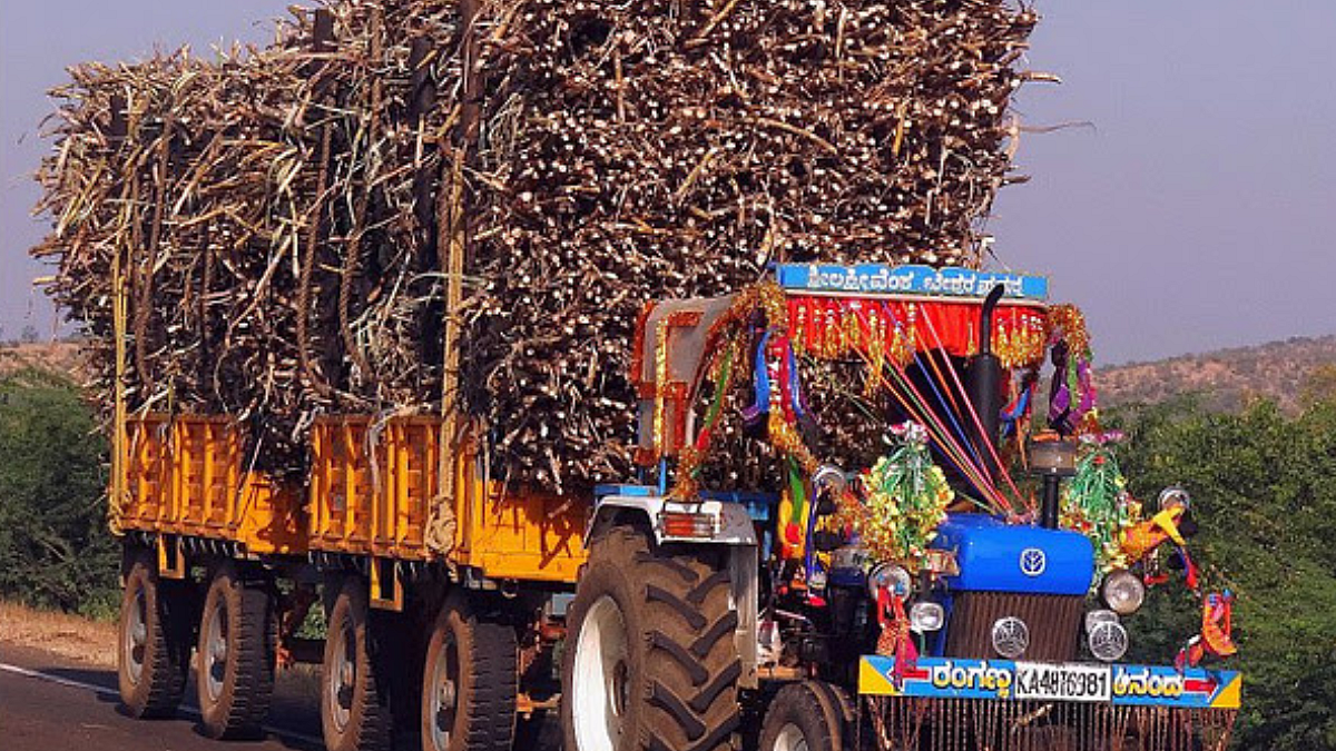 Sugarcane FRP