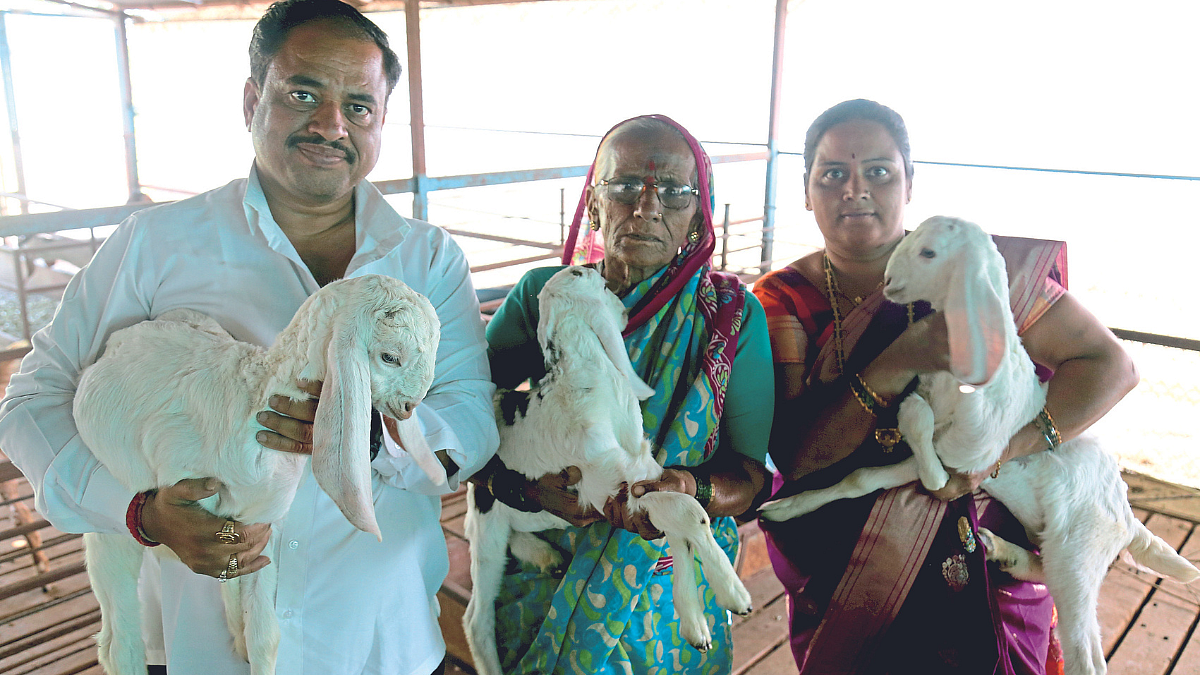 Goat Farming
