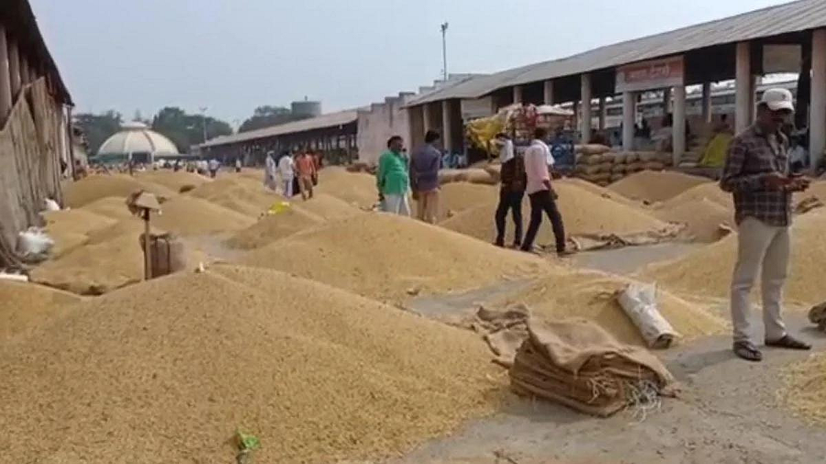 Soybean Rate
