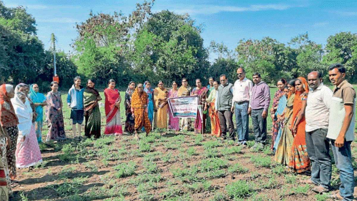 Rabi Crop Management