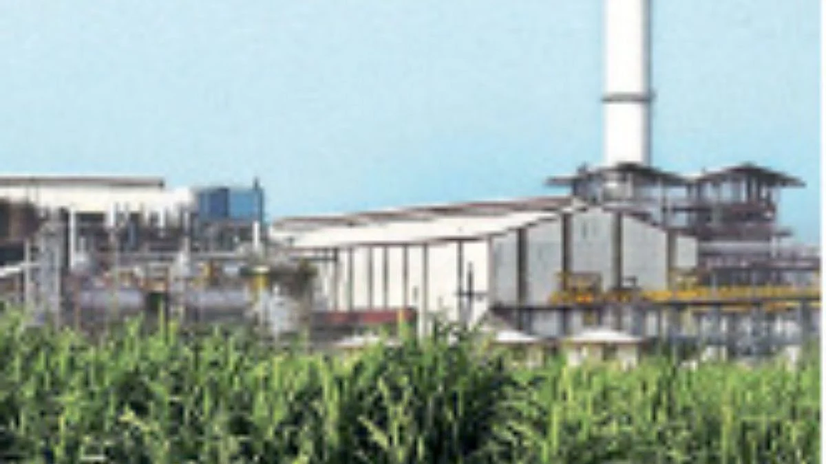 Sugar Factory