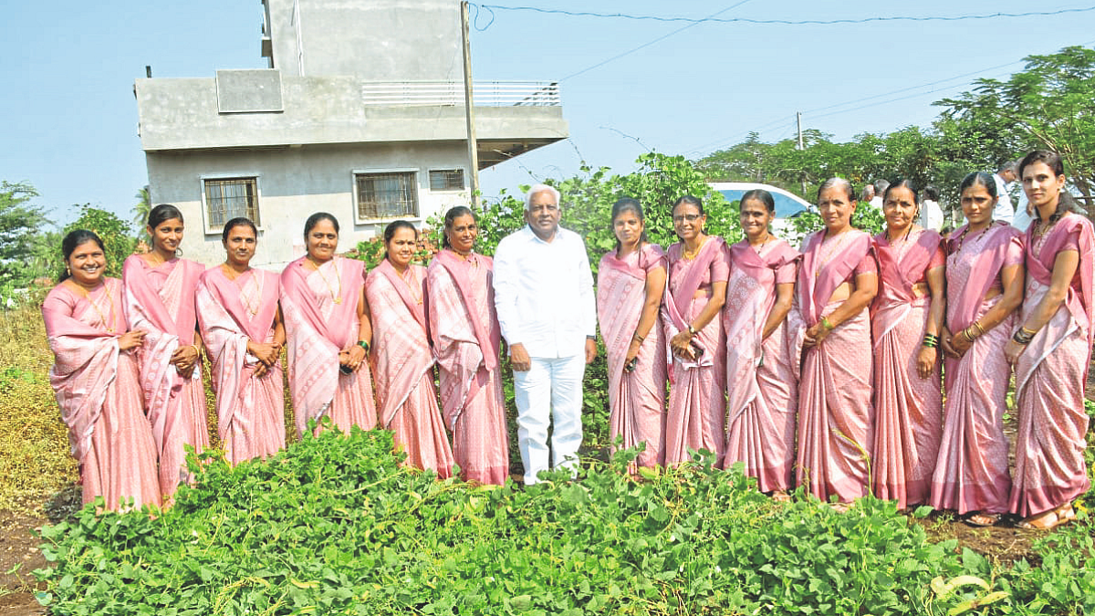 Deshi Seeds