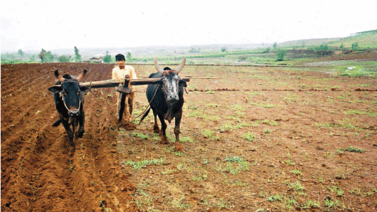 Food Security