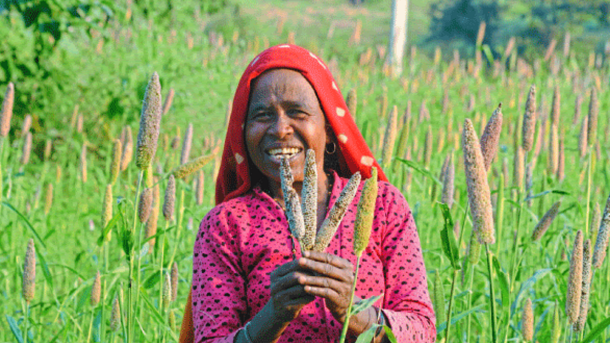Indian Agriculture
