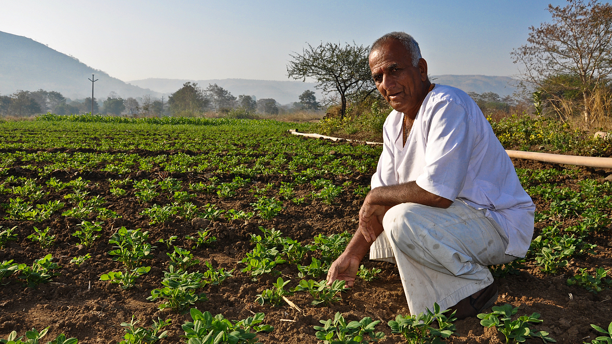 Taxpayer Farmer