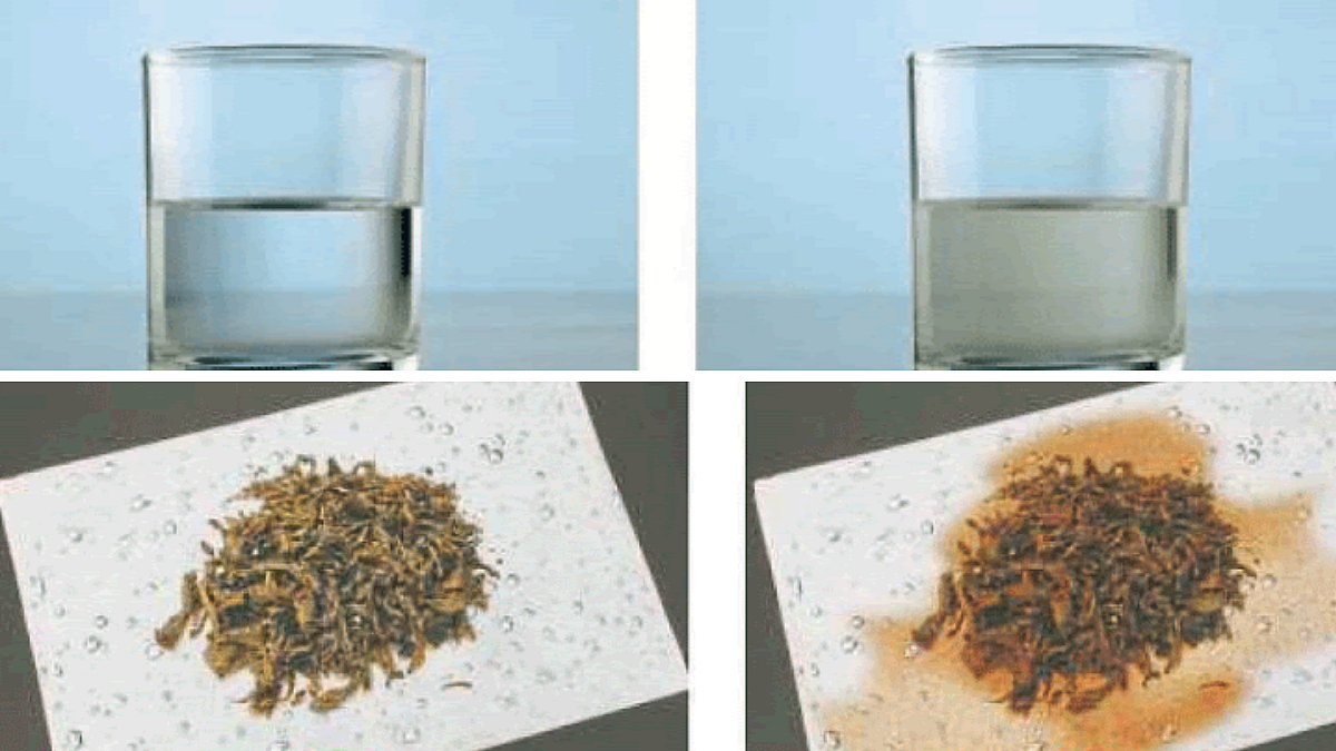 Food Adulteration