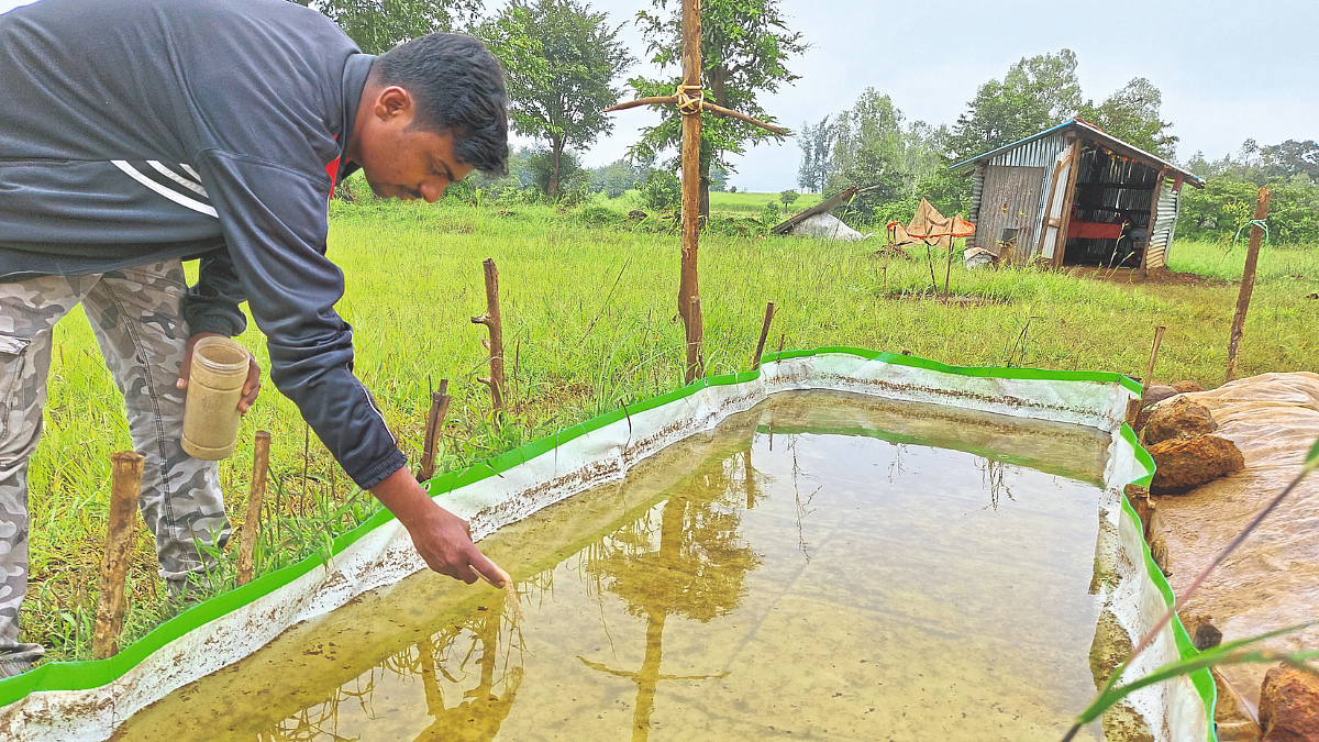 Fish Farming