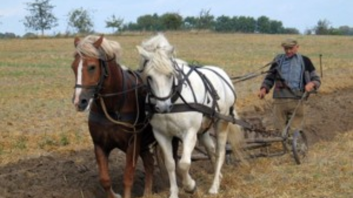 Soil Management