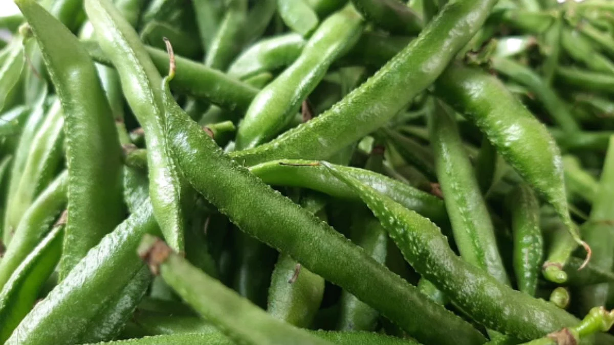 Vegetables Market