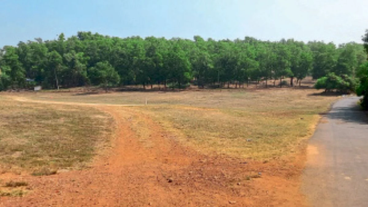 Grazing Land