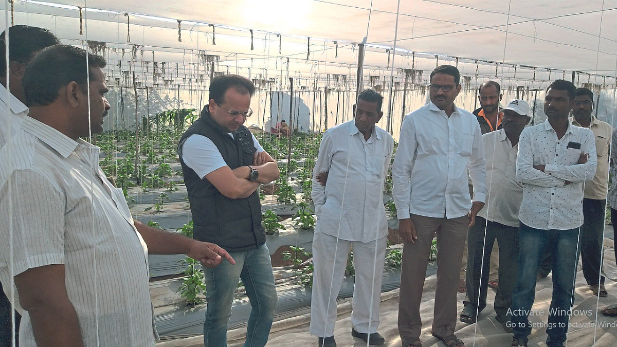 Agriculture | Organic Farming