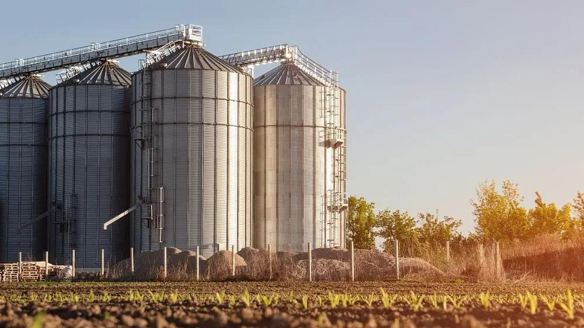 Grain Silos : सोलापूर येथे लवकरच सायलो धान्य कोठाराची उभारणी