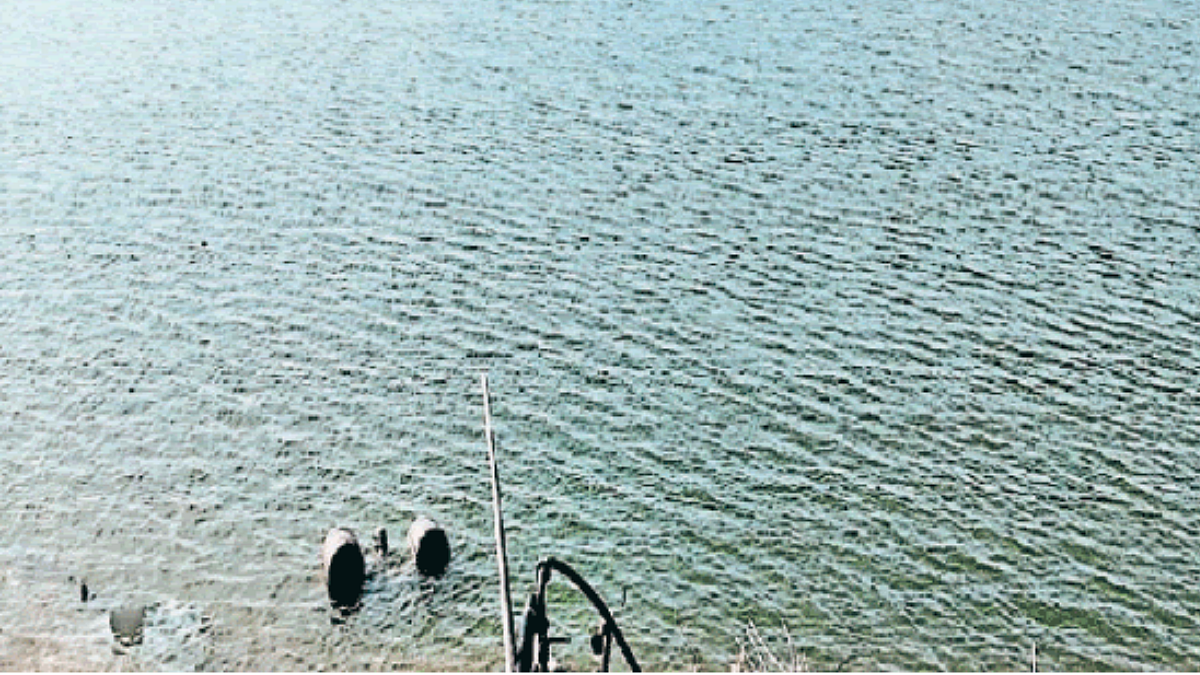 Koradi Irrigation