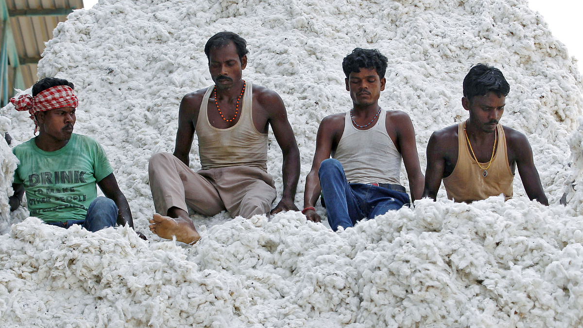 Cotton Rate