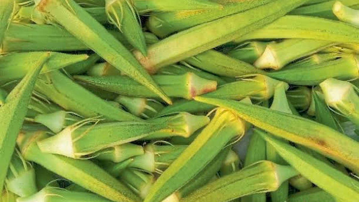 Okra