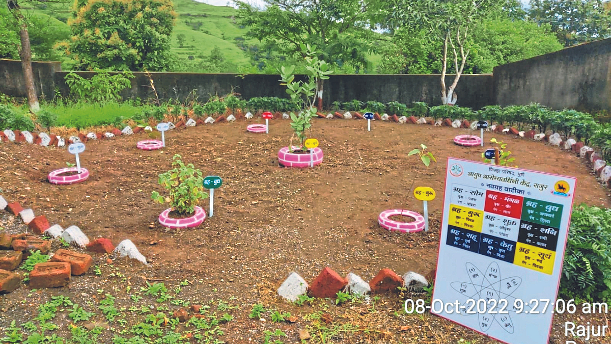 Medicinal Plant Garden | Rashtriya Ayush Abhiyan