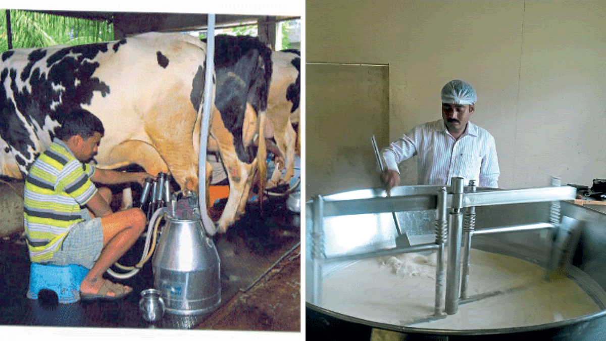 Dairy Processing