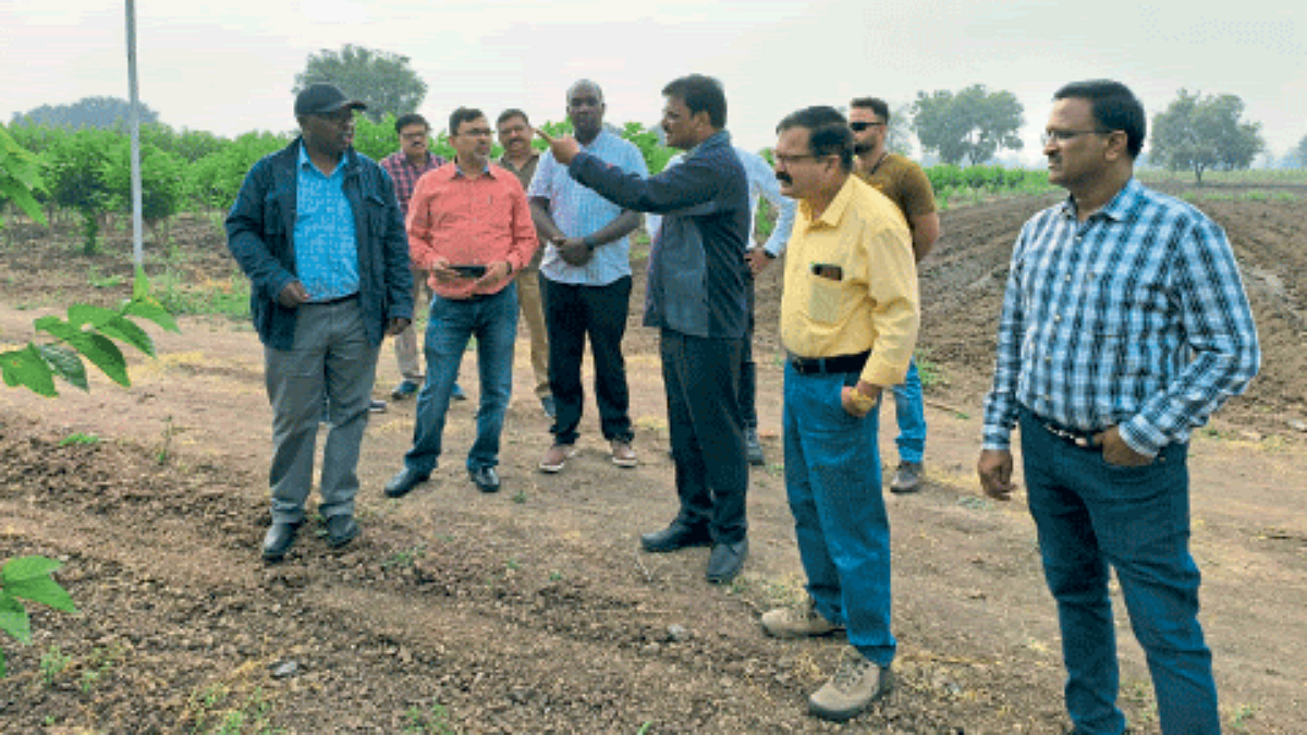 Marathwada Agriculture