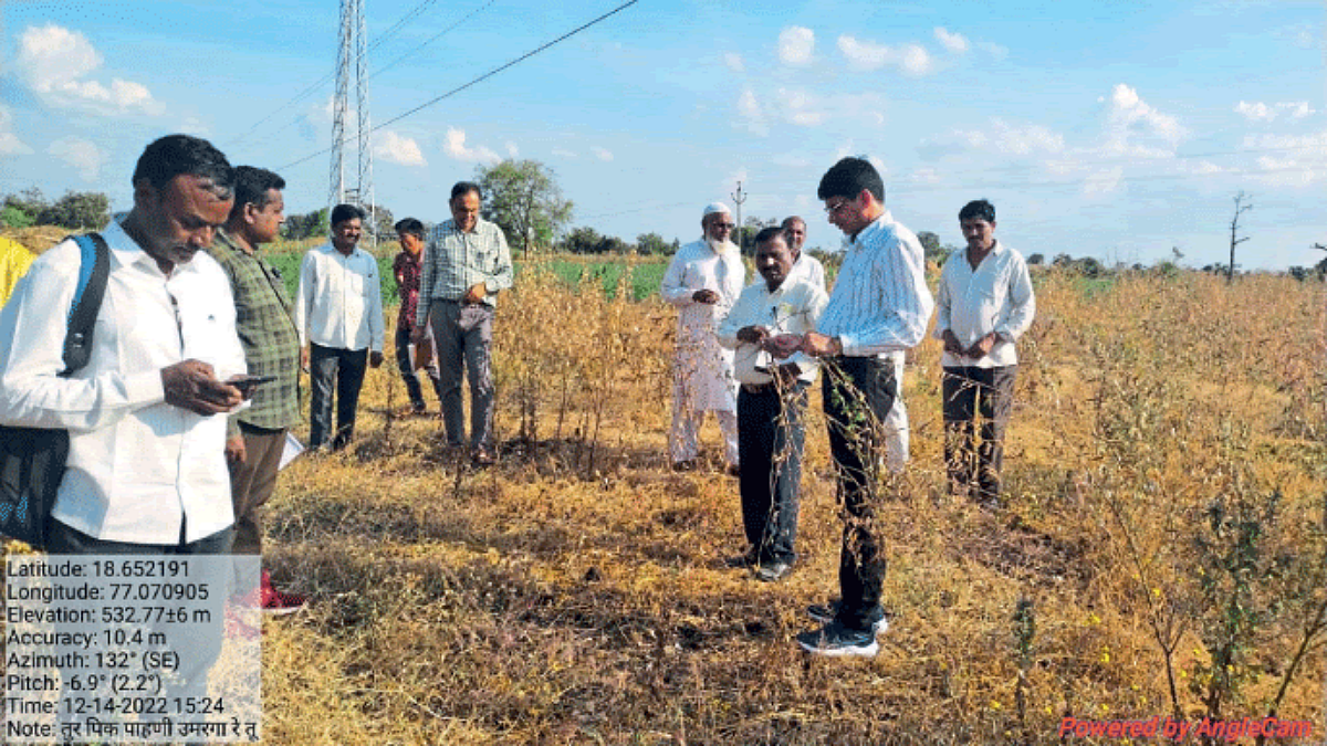 Tur Crop Damage