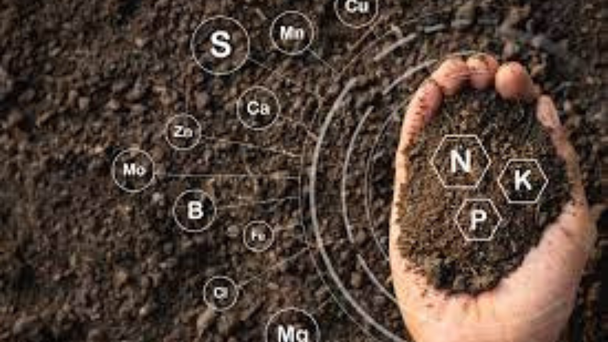 Soil Nutrient : जमिनीतील अन्नद्रव्यांचा उपसा, पुरवठा यामधील तफावत कमी करावी