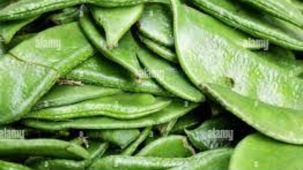 Beans Rate : ऐन हंगामात वालपापडीने खाल्ला भाव