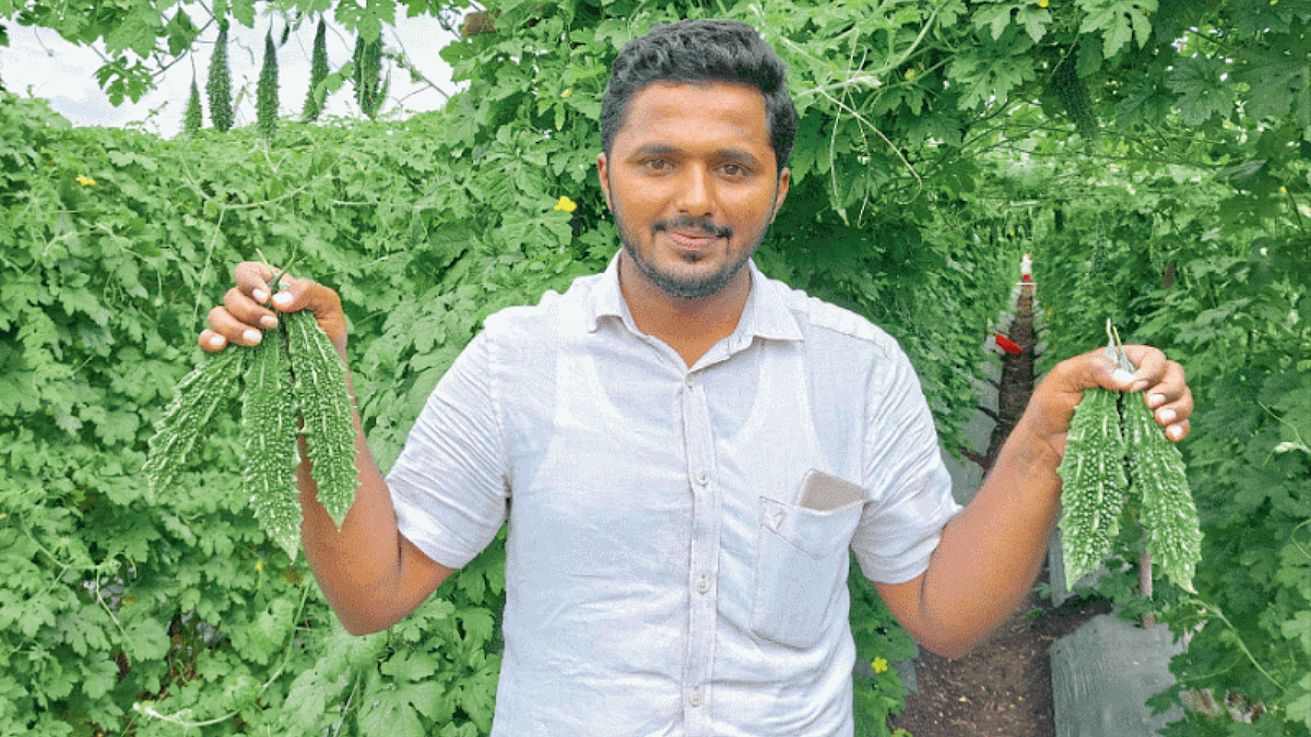 Vegetable Market
