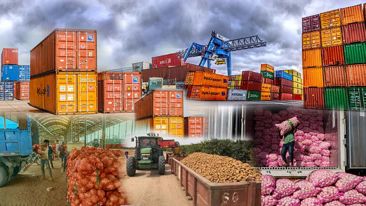 Agriculture Export