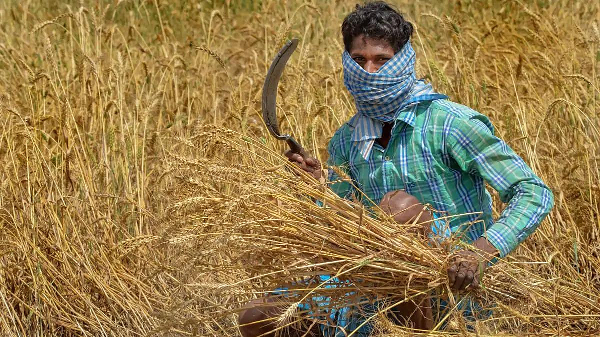 Indian Agriculture