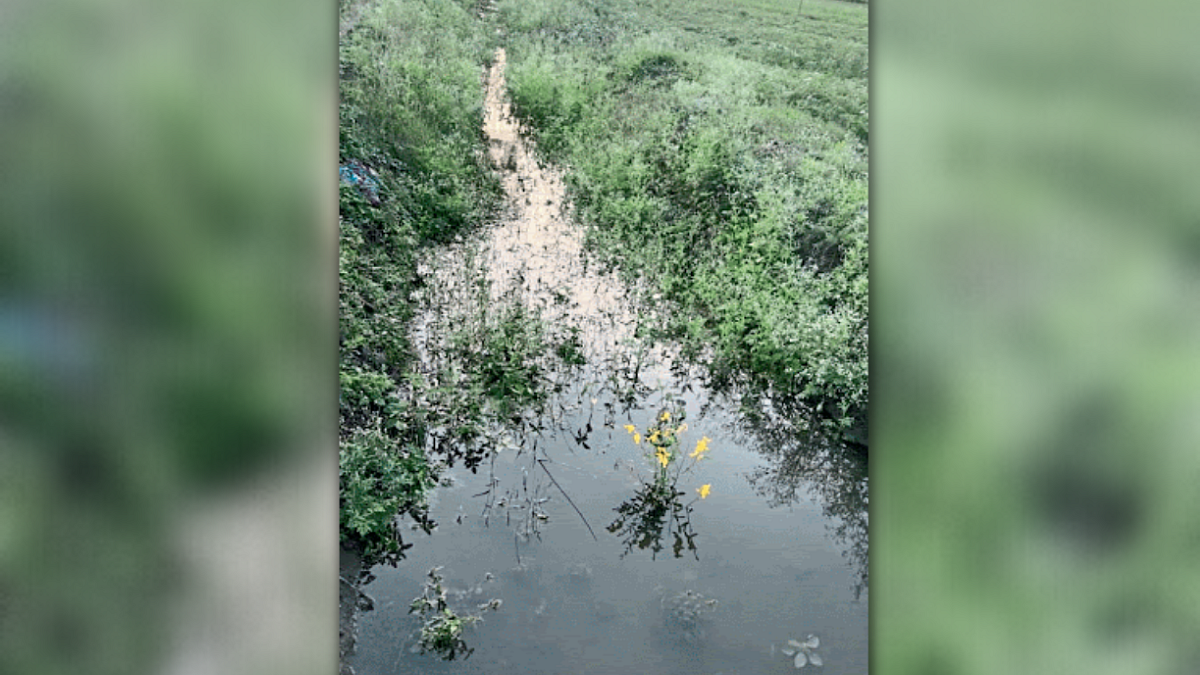 Water Wastage