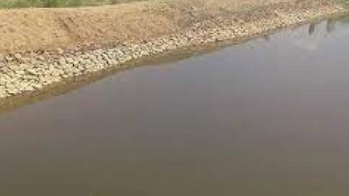 Sangali Ped Canal News