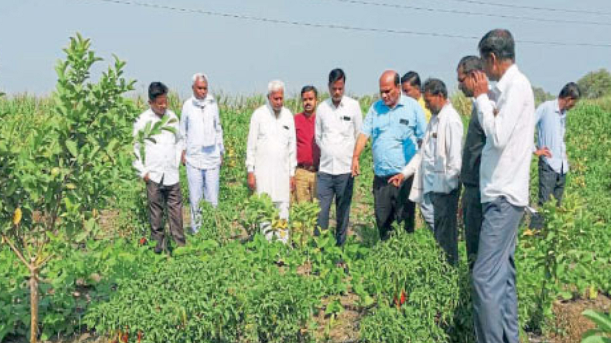 Crop Management