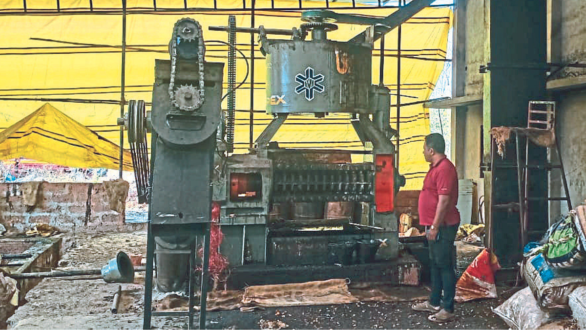 Cashew Oil Production