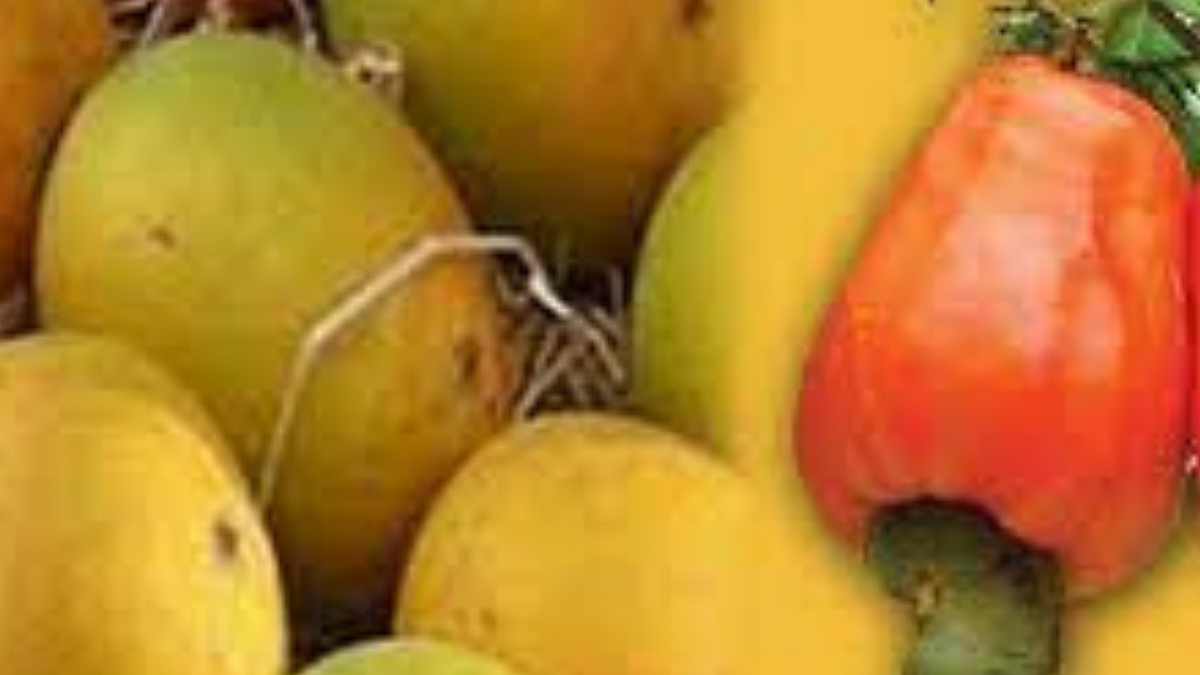 Cold Ripening Benefits