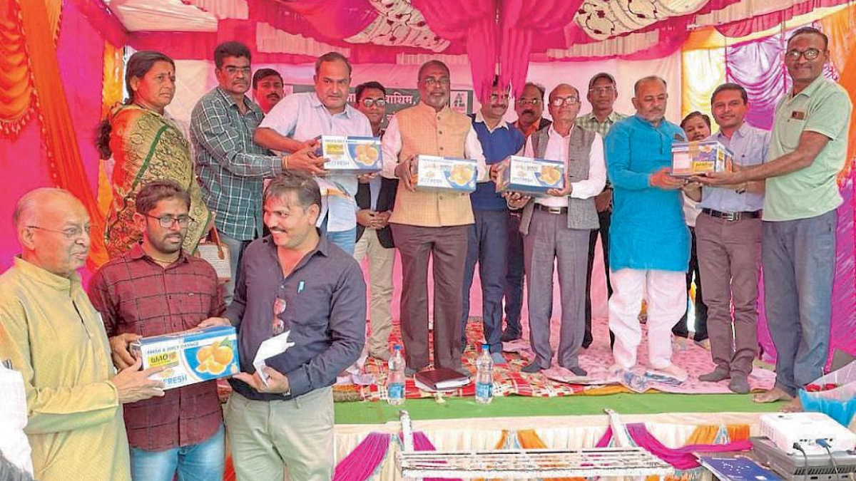 Farmer Income : कमी खर्च, मूल्यवर्धन, विपणन या त्रिसूत्रीचा दुप्पट उत्पन्नासाठी वापर करा