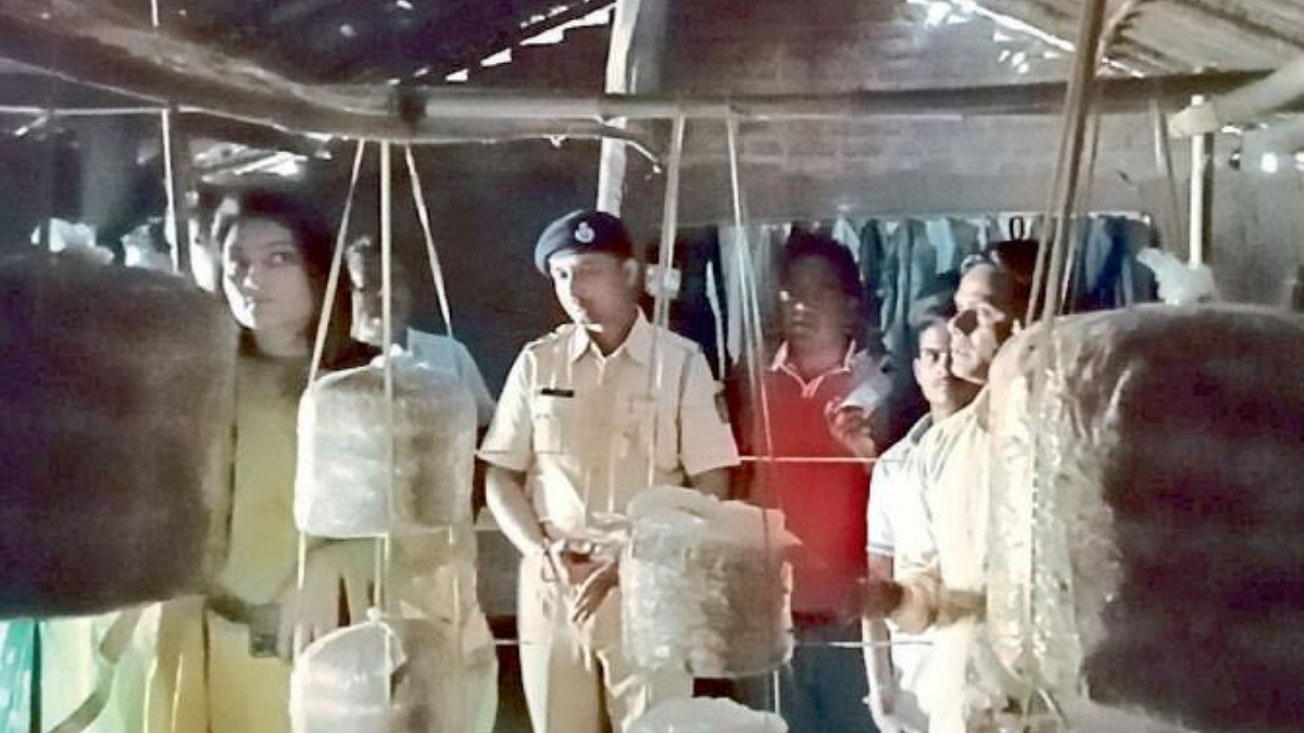 Mushroom Farming