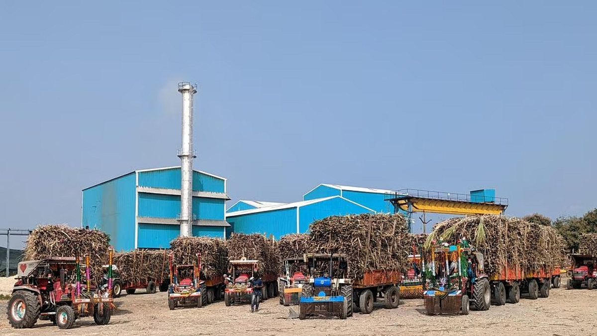 Sugar Export