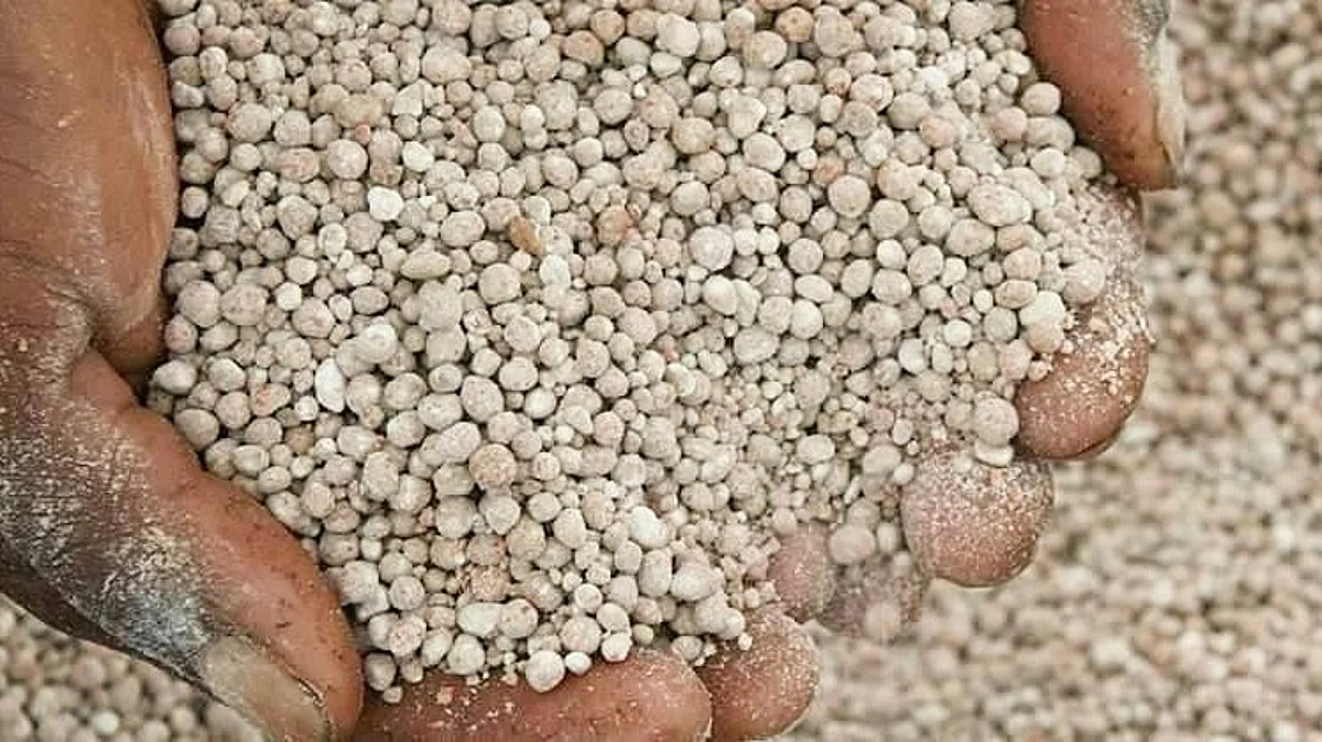 fertilizers