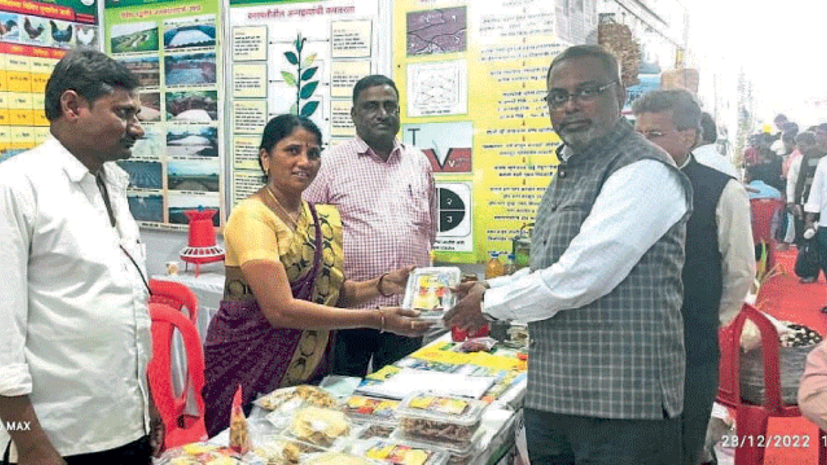Agriculture Festival