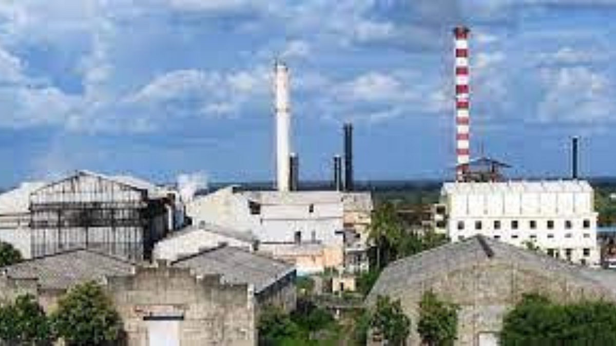 Sugar Factory Award