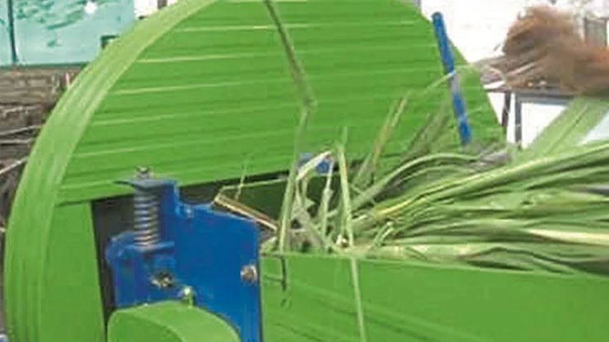 Kadabakutti Scheme