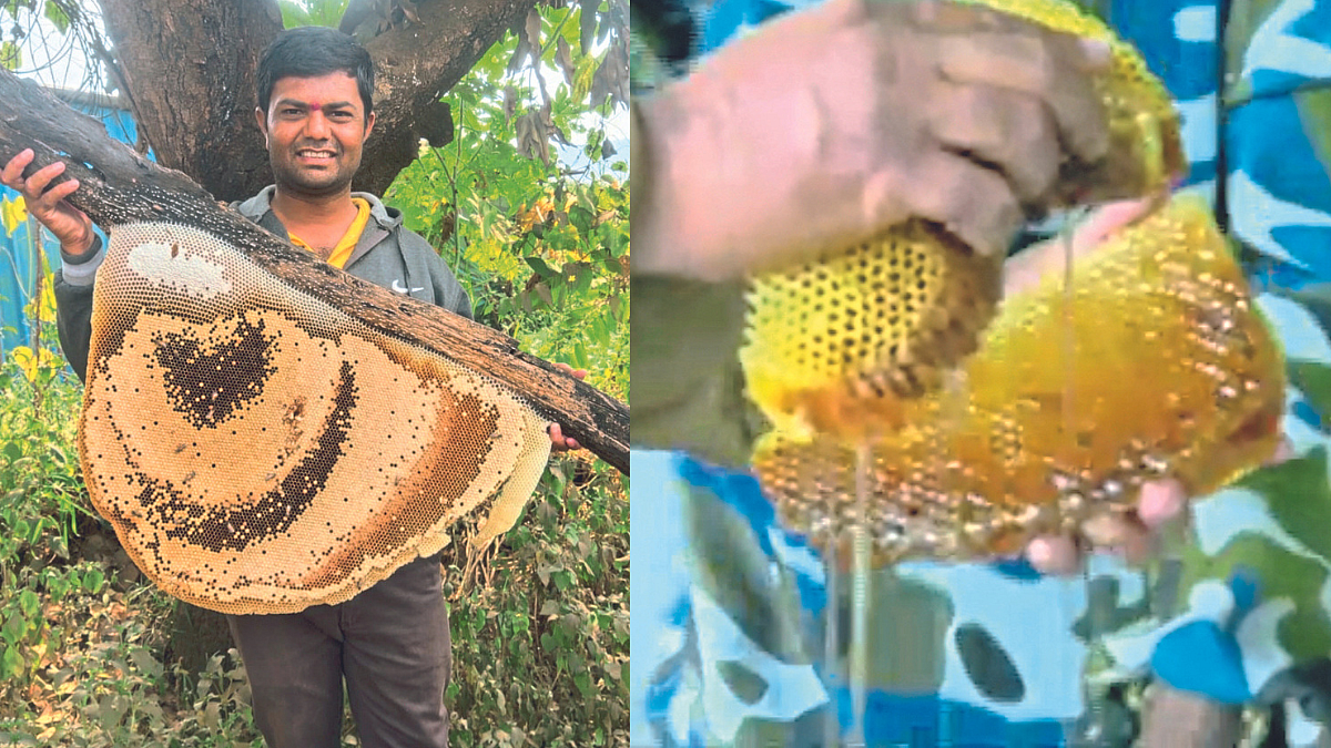 Beekeeping