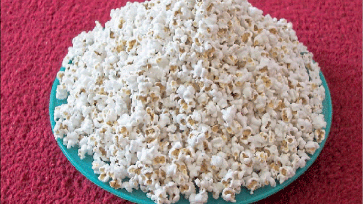 Jowar Processing