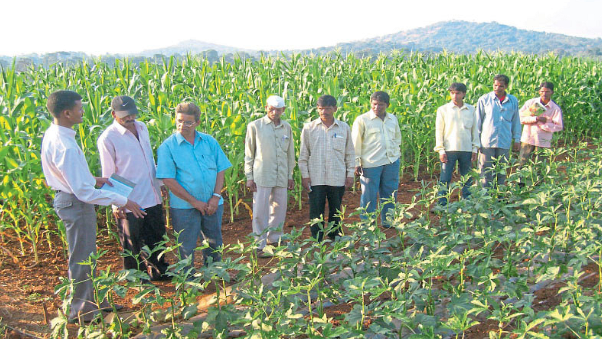 Agricultural Research