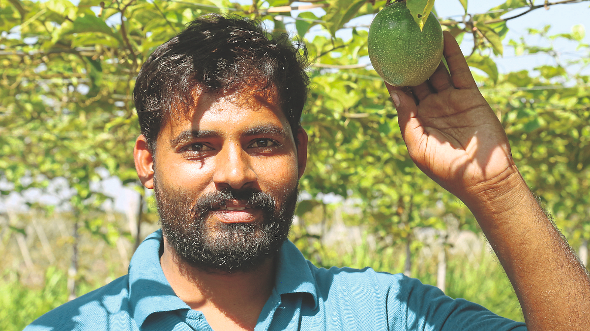 Passion Fruit