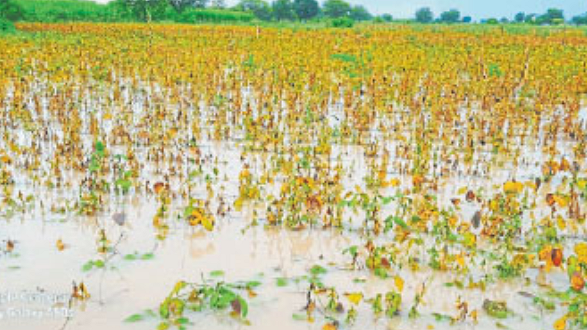 Crop Damage: Ativrushti Nuksan Bharpai