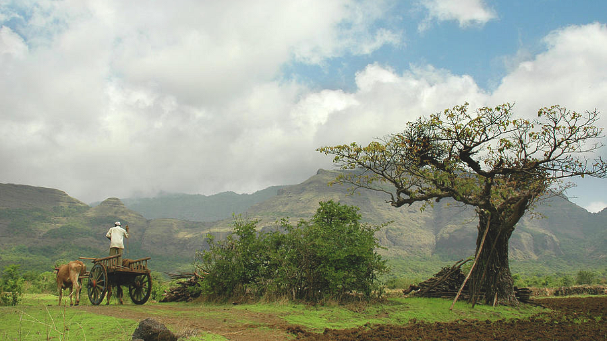 Rural Life