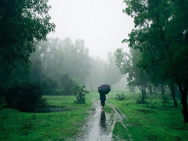 Monsoon on the return journey ; Withdrawal from Rajasthan has been  announced by the Meteorological Department
