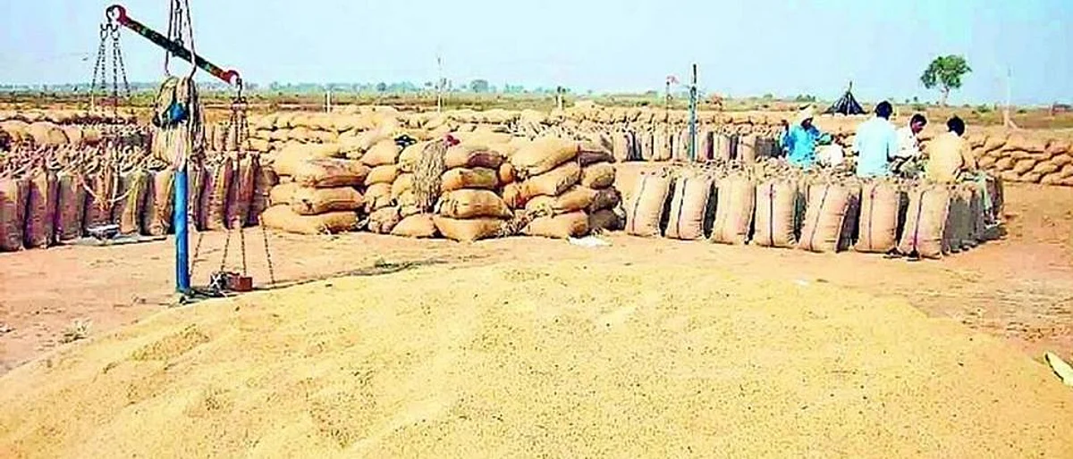 Paddy Producer Farmer