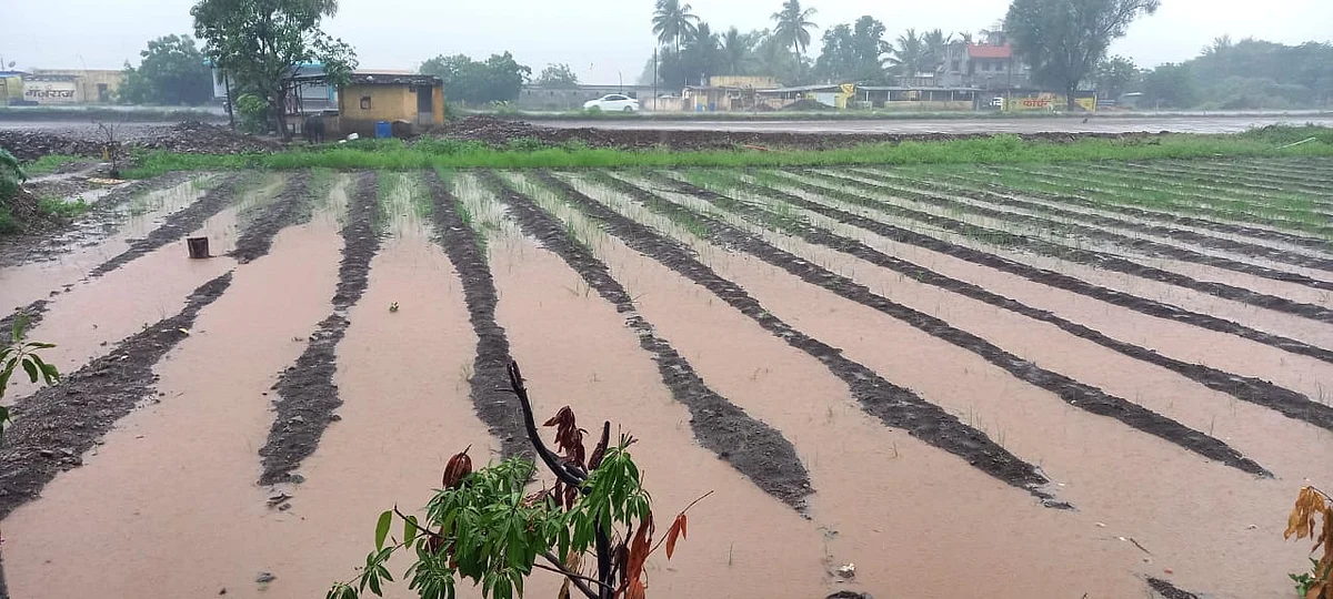 Heavy Rain
